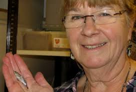 Storspiggen tar över på ostkusten 27 januari 2012