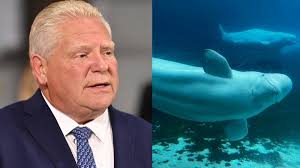 Actress Sandra Oh formally made officer of the Order of Canada