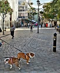 Let's welcome our new members: Gianna Stanley