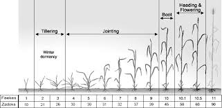 absolute nitrogen content precisionmapper support