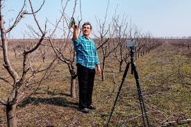 Just $39 usd for a limited time only. Premium Photo Senior Farmer Man Is Standing In A Plum Orchard Man With Pruning Shears