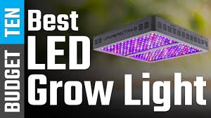 This post may contain affiliate links so we may receive compensation if you sign. Best Led Growlights 2021 Youtube