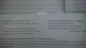 1 Notează Cate Un Sinonim Potrivit Pentru Sensul Din Text Al Cuvintelor Subliniate Chiot Piere Brainly Ro