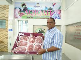 Untuk sekilo daging kambing cincang bisa untuk 13 sampai 15 tusuk sate buntel. Jualan Kambing Osman Goat Farm Meningkat Tiga Kali Ganda Kosmo Digital