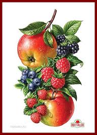 16f2bb803b8dcdbab18b8c381489ad8f Jpg Dessin Fruits Fleurs Et Fruits Peinture Decorative