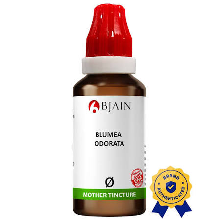 SBL BLUMEA ODORATA(Kuksima) Q