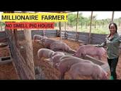 How To Make Millions In A Simple PIG Farm Business! | 2024 Farm ...