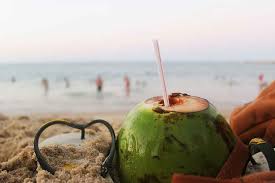 Bora então descobrir as melhores praias do ceará?! Praias Do Ceara Top 10 Das Praias Mais Bonitas Do Ceara