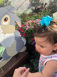 Disney cast members go above and beyond to help families