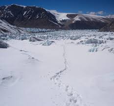 Luke Smithwick Thwarted