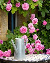 British Garden In The French Countryside Rosa Rampicante Splendidi Giardini Fiori
