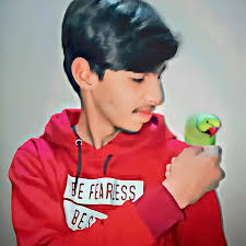 Muhammad Ameen Muhammad Ameen (@muhammad_ali_official14) • Instagram photos  and videos