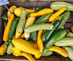 A transversus abdominis plane (tap) block is a procedure to anesthetize the nerves that provide sensation and muscle function to the abdominal wall and skin. How To Harvest And Store Summer Squash