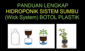 Bentuknya seperti apa dan dari mana tanaman hidroponik berasal. Hidroponik Sederhana Dengan Botol Bekas Air Mineral Bibit Online