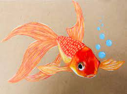 Bring your animal illustrations to life. Chs Art On Twitter Drawing Students Complete Animal Drawings Using Prismacolor Colored Pencils Officialcisd Crandallhs