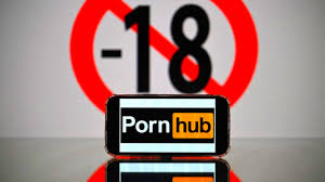 Pornoapagón: las principales paginas webs para adultos bloquean sus  contenidos en protesta contra la nueva ley - El Cronista