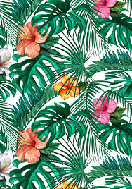 See related links to what you are looking for. Tropical Flowers Wallpapers Top Free Tropical Flowers Backgrounds Wallpaperaccess