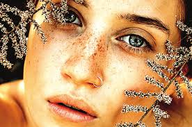 Honoring our veterans