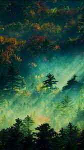 The Sun Shines Into The Forest Beautiful Wallpaper Iphone Wallpaper Scenery Wallpaper Fantasy Landscape Landscape Wallpaper