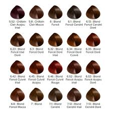 Les cheveux chatain clair doré cuivré de jessica biel plus. Tube Coloration Majirel 4 Chatain L Oreal Professionnel 50 Ml