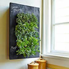 An easy first step to finding the right plant type for your indoor vertical garden is to shop for houseplants that are best grown indoors. Vertical Gardens Diy