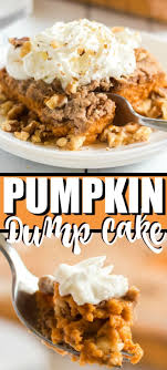 If You Are Looking For A Delicious Fall Dessert Recipe You Have To Try This Crumbly Savory Pumpkin Dum Pumpkin Pie Mix Dump Cake Pumpkin Fall Dessert Recipes
