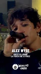 La tua canzone apposta nei locali… Che vuoi di più? 💥, @imalexwyse ieri  ospite de La fisica che ci piace con il singolo “Gocce di limone” 🍋  recensione sul blog!, #inchiostrosonoro , #alexwyse ...