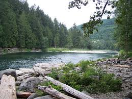 Hope you will like our premium collection of washington state wallpapers backgrounds and wallpapers. Free Download Wallpaper Washington State Download For Iphone Ipod And Ipad 1024x768 For Your Desktop Mobile Tablet Explore 38 Washington State Wallpaper Washington Dc Wallpaper Wsu Desktop Wallpaper Washington