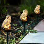 Energie Solaire Et Eolienne Energie Solaire Eolienne Led Lampe Solaire Forme De Chouette Owl Hibou Jardin Cour Lampes Solaires Jardin Interieur Lampe Led