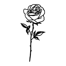 Noir Tattoo Semi Permanent Tattoos By Inkbox Inkbox In 2020 Rose Tattoos For Men Rose Tattoos On Wrist Small Rose Tattoo