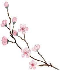 Pin By Mabel Tejera On Tazas De Te Cafe Bonitas Originales Coloridas Cual Es Tu Preferida Cherry Blossom Art Cherry Blossom Painting Blossoms Art