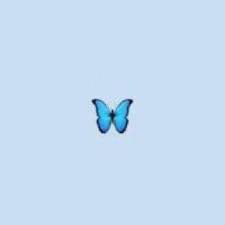 Check spelling or type a new query. Aestheticbutterfly Aestheticbutte2 Twitter