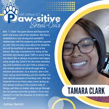 North Elementary STEAM Academy students use Sphero Robots in their  Technology class. Students designed complex mazes using cardboard,  connectors, scissors, and other materials and then used the codable Sphero  robots to navigate