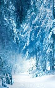 All iphone 11 wallpapers >all albums >the awesome collection of winter iphone 11 wallpapers a collection of the best 76 winter iphone 11 wallpapers and backgrounds available for free download. Snow Phone Wallpapers Wallpaper Cave