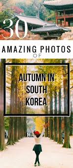 30 Photos That Prove The South Korea Autumn Just Won At Life Autumn In Korea Korea Travel Travel Photography