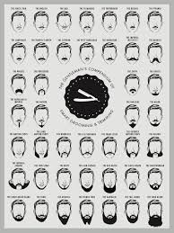 beard and mustache print beard chart beard chart art print