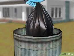 3 Ways To Get Rid Of Mice Naturally Wikihow