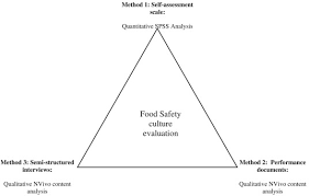 Triangulation And The Importance Of Establishing Valid