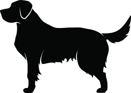 Image Result For Golden Retriever Silhouette Golden Retriever Silhouette Golden Retriever Outline Golden Retriever Rescue Adoption