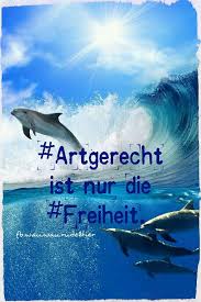 Pin Von Ash Auf Tiere Spruche Tiere Tiere Retten Tiere