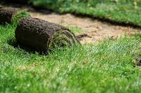 Quick and easy guide to installing a new lawn. Laying Sod Next To Existing Grass 7 Best Tips Pepper S Home Garden