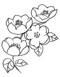 Download this premium vector about apple blossom flower drawings, and discover more than 14 million professional graphic resources on freepik. Apple Blossom Branch Coloring Page From Apples Category Select From 26736 Printable Crafts Of Cartoons Flower Drawing Flower Coloring Pages Tree Coloring Page