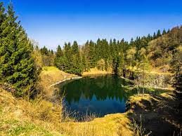 281 likes · 1 talking about this. Rhon Rundweg 6 Schwarze Berge Bei Riedenberg Wandern In Der Rhon Wanderung Zum Wurzburger Haus Und Zum Geotop Tin Hund Unterwegs Reise Inspiration Tintenfass