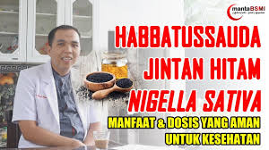 Habbatussauda bisa jadi suplemen menjaga kebugaran tubuh selama bulan puasa. 7 Habbatussauda Kapsul Terbaik Yang Kaya Manfaat Bestlist