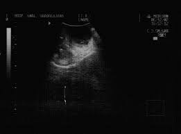 Deian stăncioi, timișoara, meziad, a commune. Gral Medical Contact