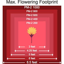 In this industry, it can be tough to weed through the marketing speak and truly compare different led grow lights, so we've done the work to organize everything you need to know:. Black Dog Led Phytomax 2 1000 Led Grow Lights Shopgrowspaces Shopgrowspaces