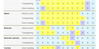 Vegetable Planting Guide Sunnyvale Garden