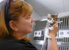 San Bernardino animal shelter shows 'huge' improvement