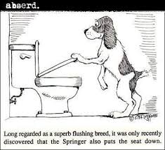 Black And White Spaniel Cartoon The Benefits Of An English Springer Spaniel Springer Dog Springer Spaniel English Springer Spaniel