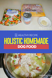 holistic homemade dog food recipe